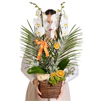 Heavenly White Orchid Prestige Arrangement