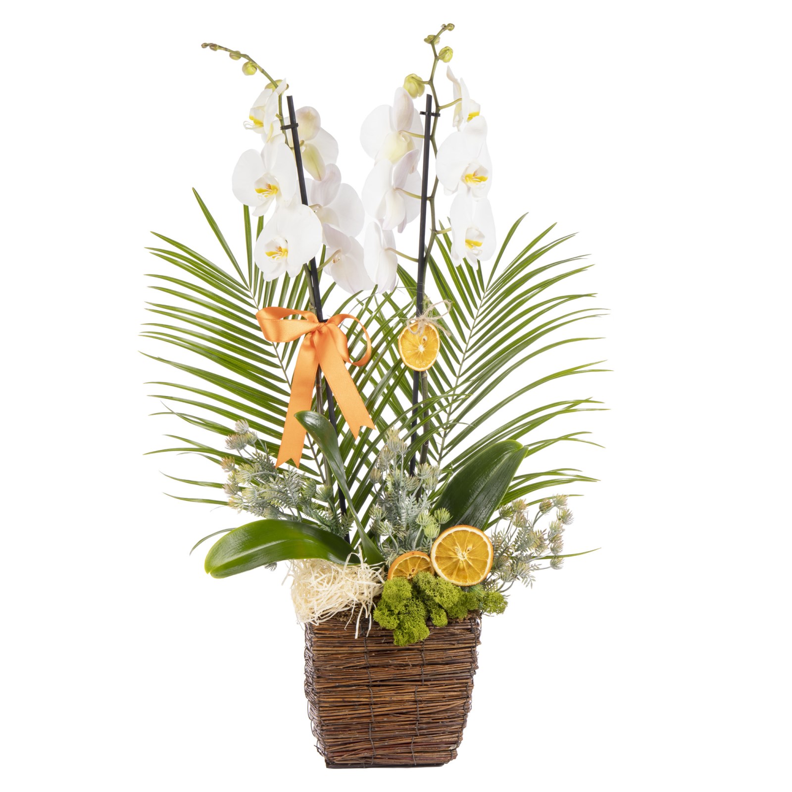 Heavenly White Orchid Prestige Arrangement