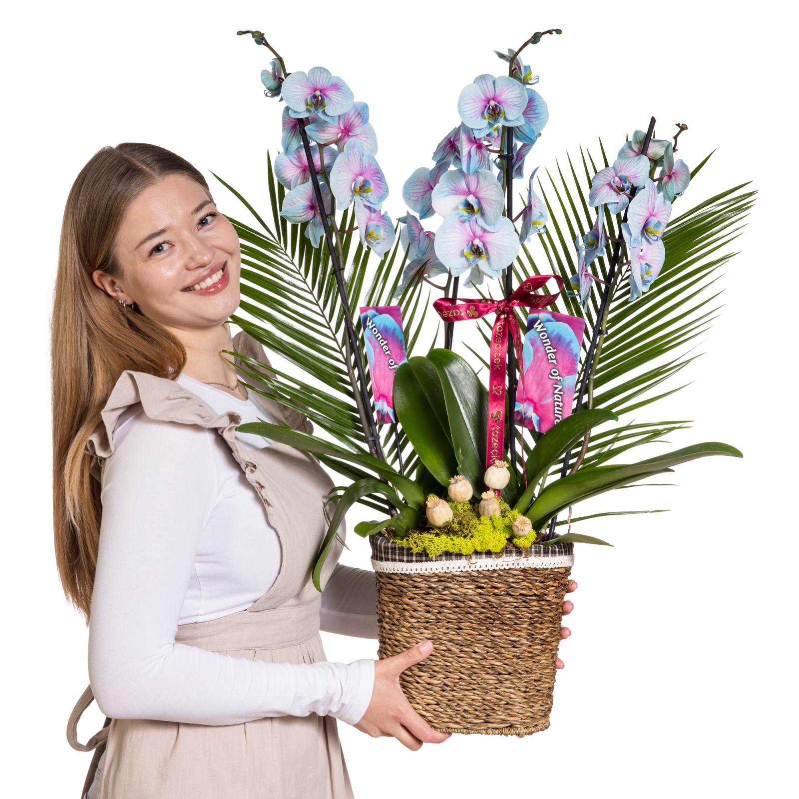 Noble Garden Orkide Prestige Collection