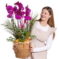 Orchid Infinity Premium Experience