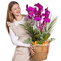 Orchid Infinity Premium Experience