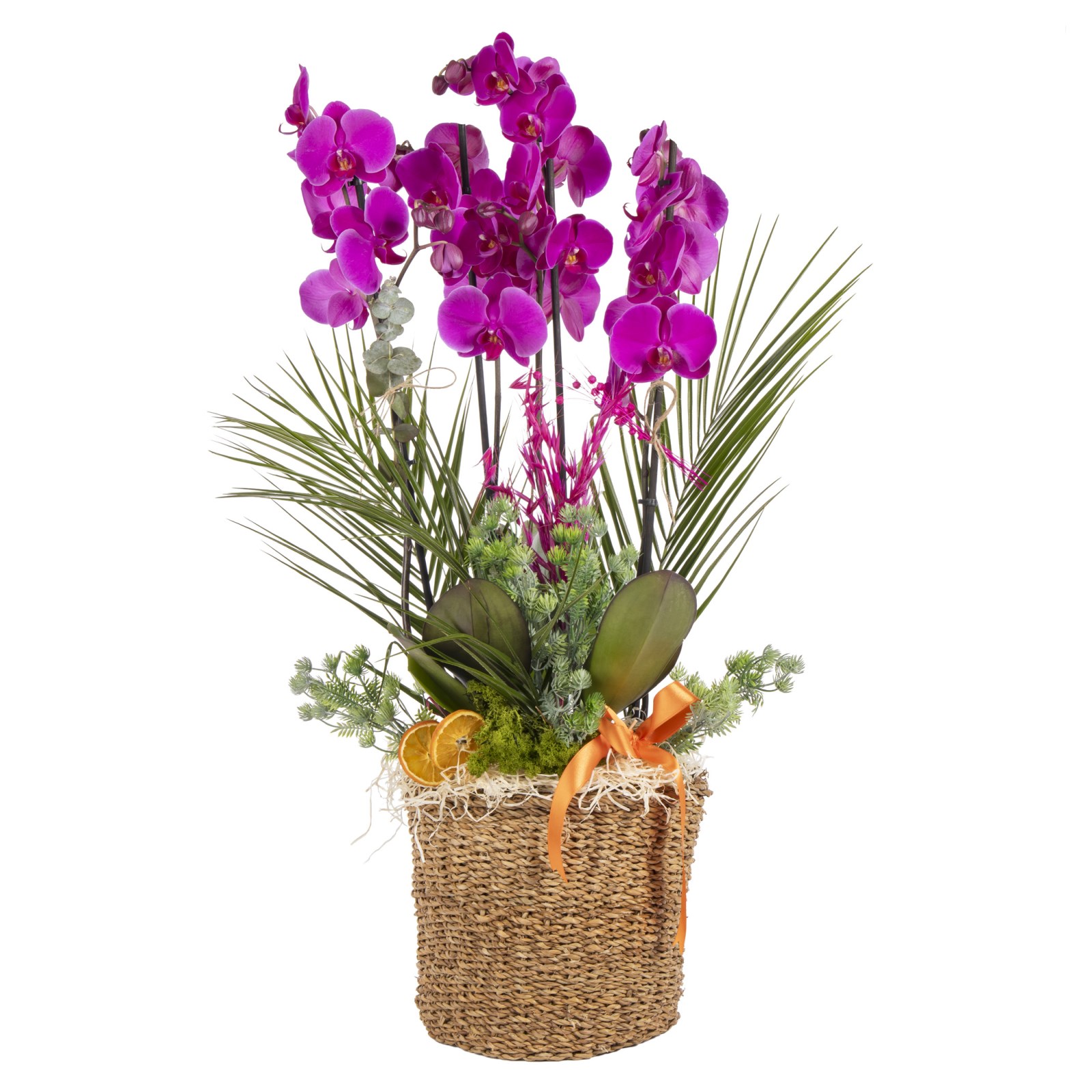Orchid Infinity Premium Experience