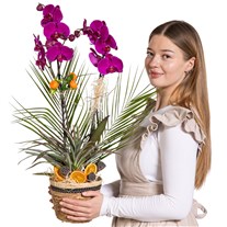Velvet Orchid Dream Luxury Design