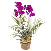 Velvet Orchid Dream Luxury Design