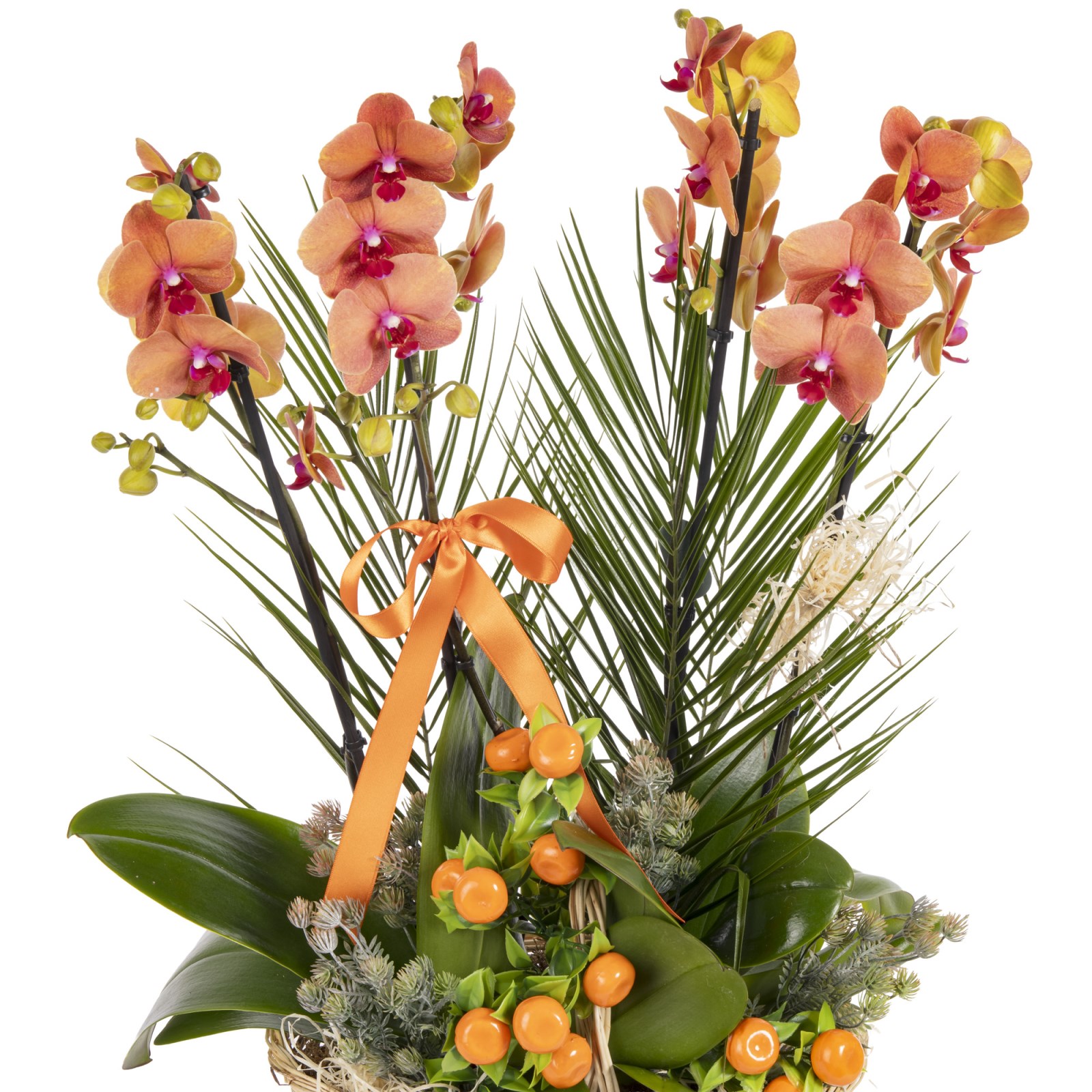 Imperial Bloom Luxury Orkide