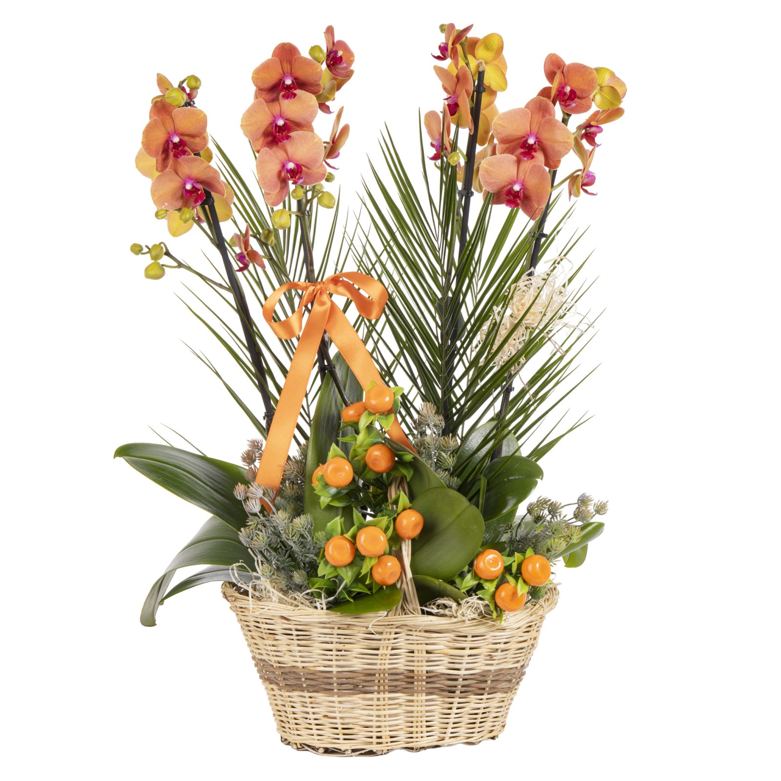 Imperial Bloom Luxury Orkide
