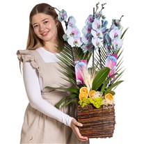 Aurora Orchid Luxury Collection