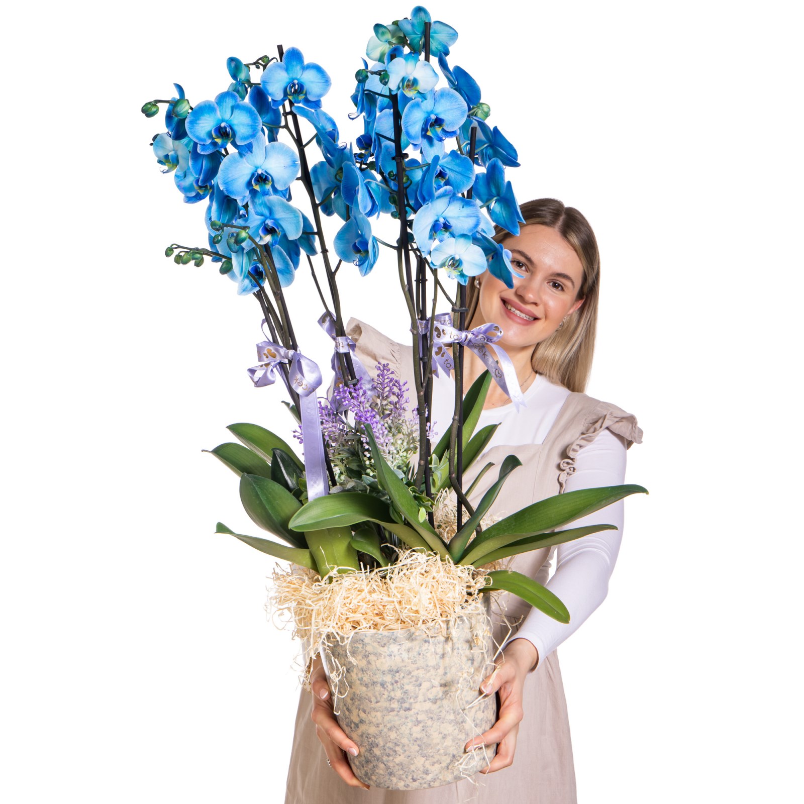 Sky Elegance Premium Orkide
