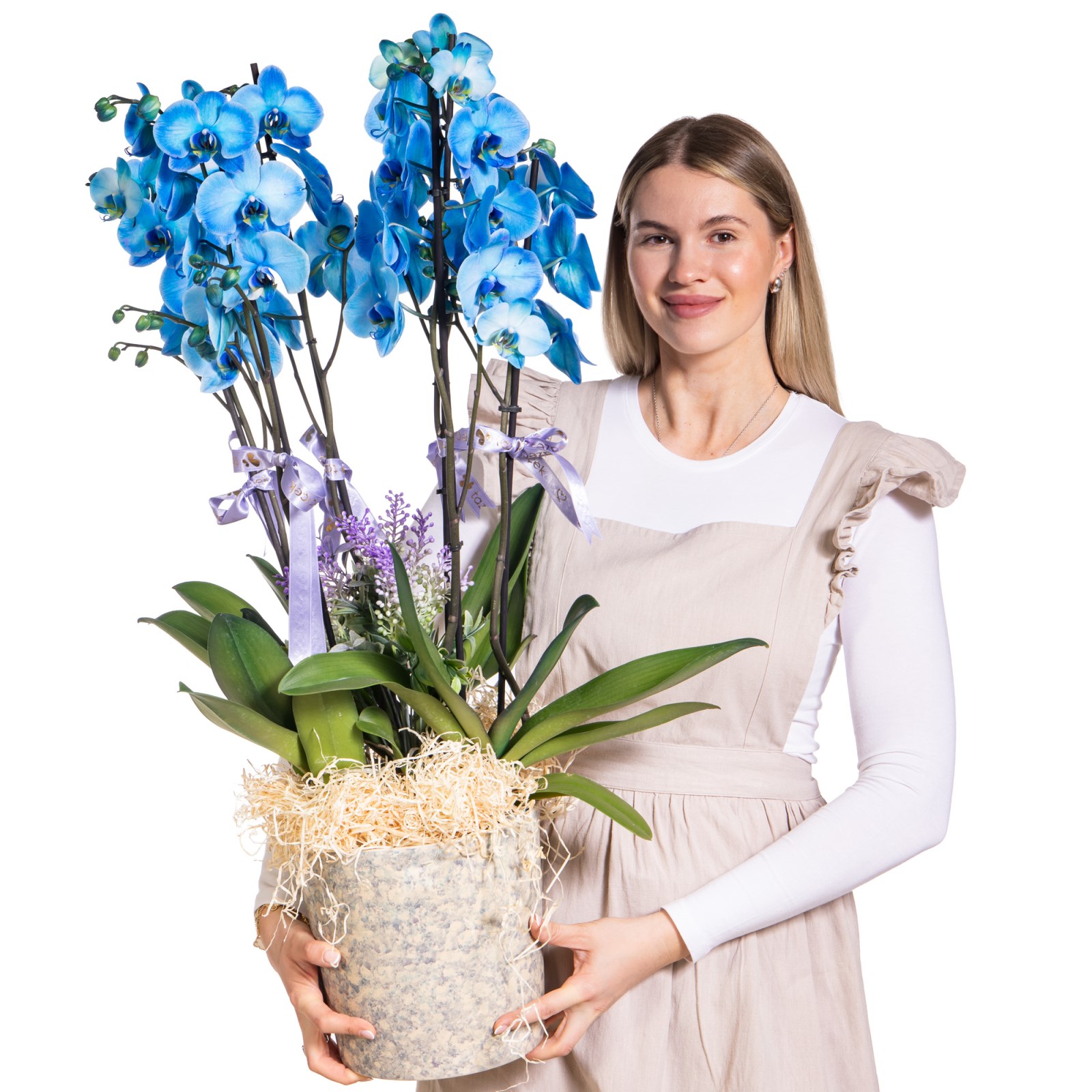 Sky Elegance Premium Orkide