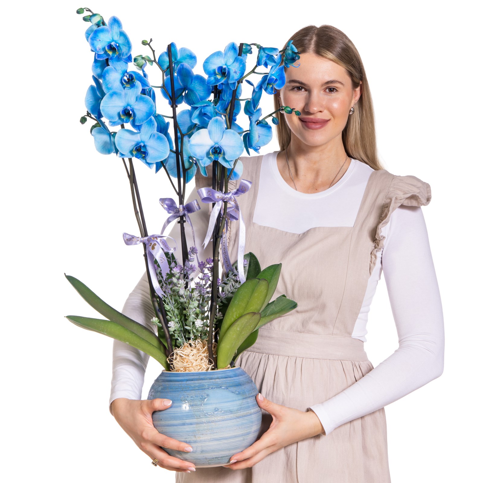 Deep Blue Premium Orkide
