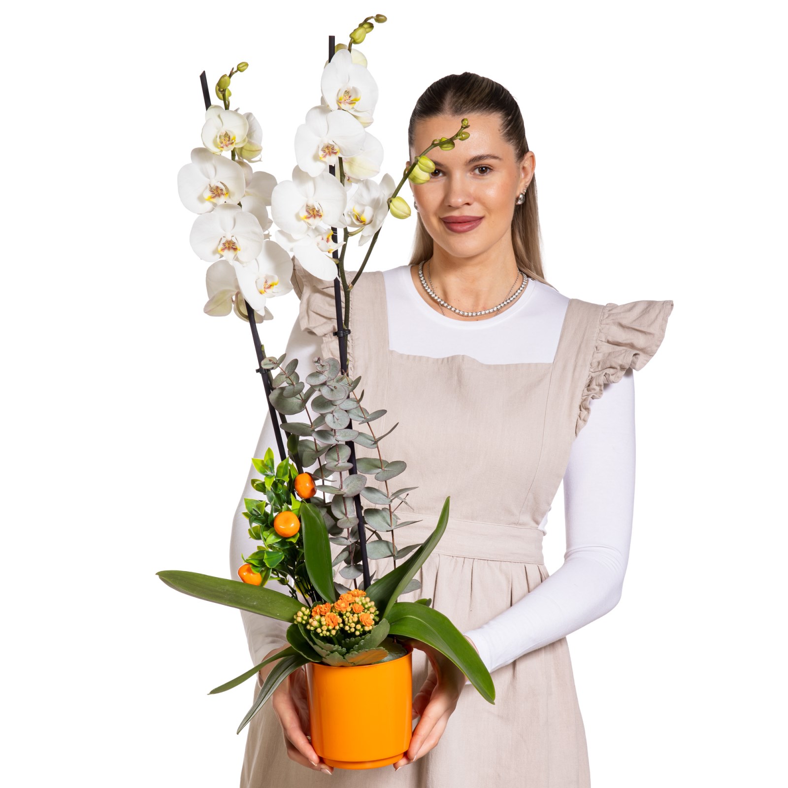 Orange Shine Beyaz Orkide Aranjmanı