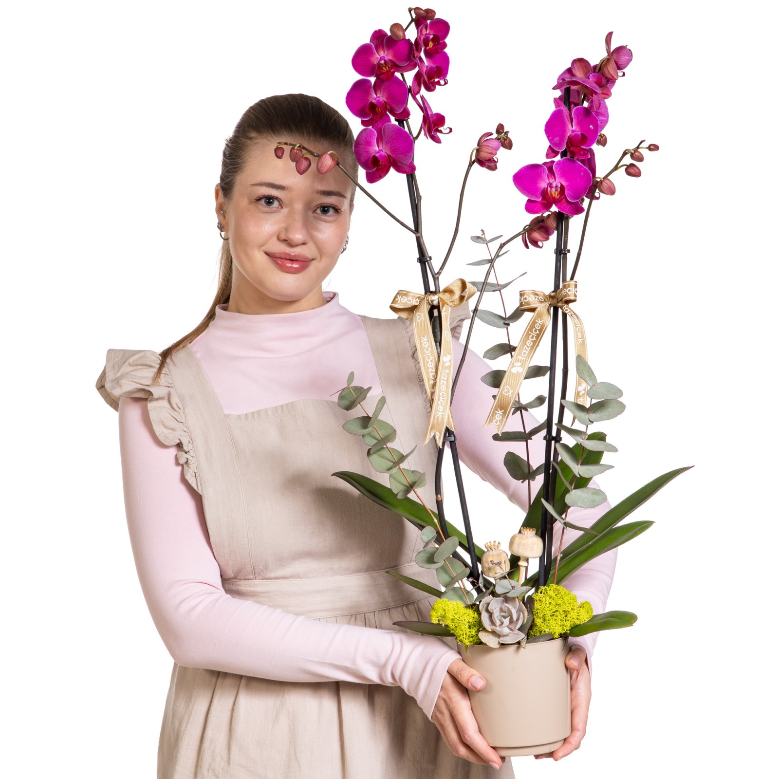Magenta Dream Mor Orkide Tasarımı
