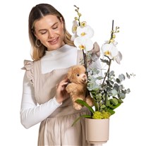 Sweet Hug Çift Dal Beyaz Orkide