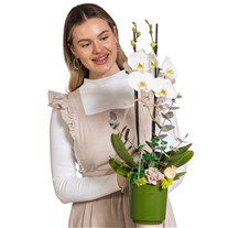 Nature Touch Çift Dal Beyaz Orkide