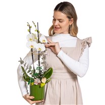 Nature Touch Çift Dal Beyaz Orkide