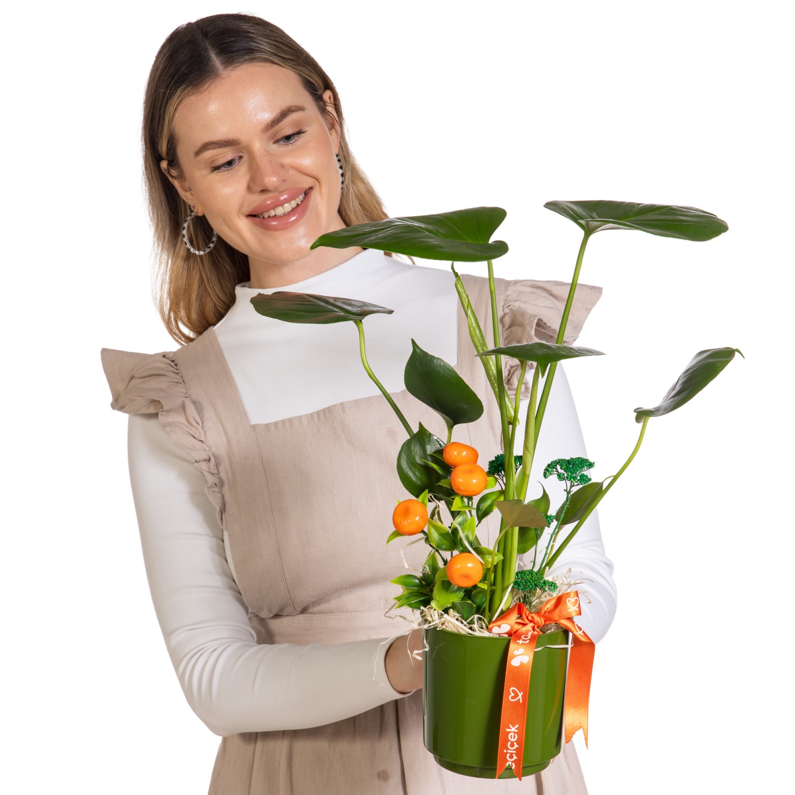Forest Green Mini Monstera Bitkisi