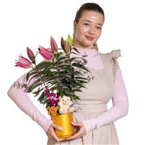 Sweet Pink Lilyum Aranjmanı