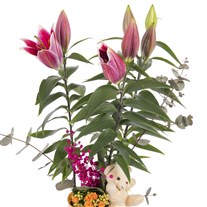 Sweet Pink Lilyum Aranjmanı