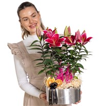 Silver Elegance Premium Lilyumlar