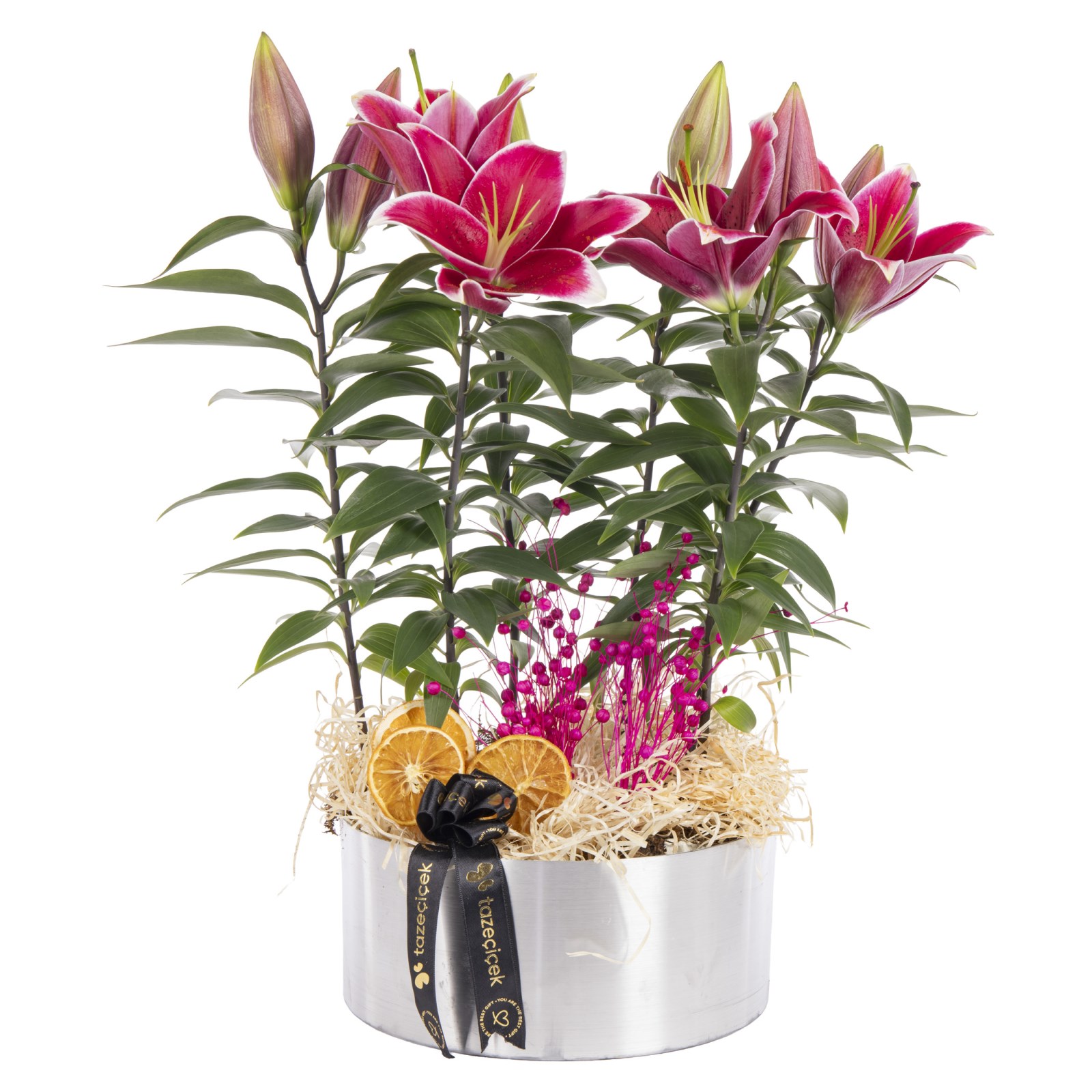Silver Elegance Premium Lilyumlar