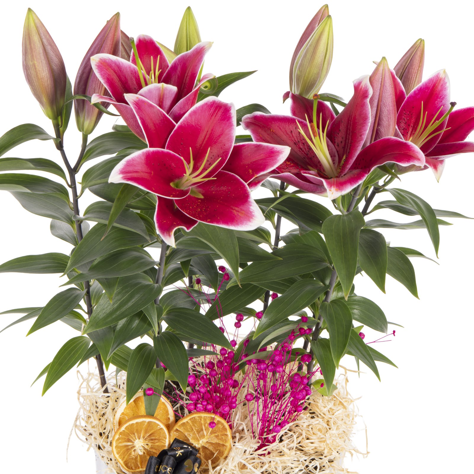 Silver Elegance Premium Lilyumlar
