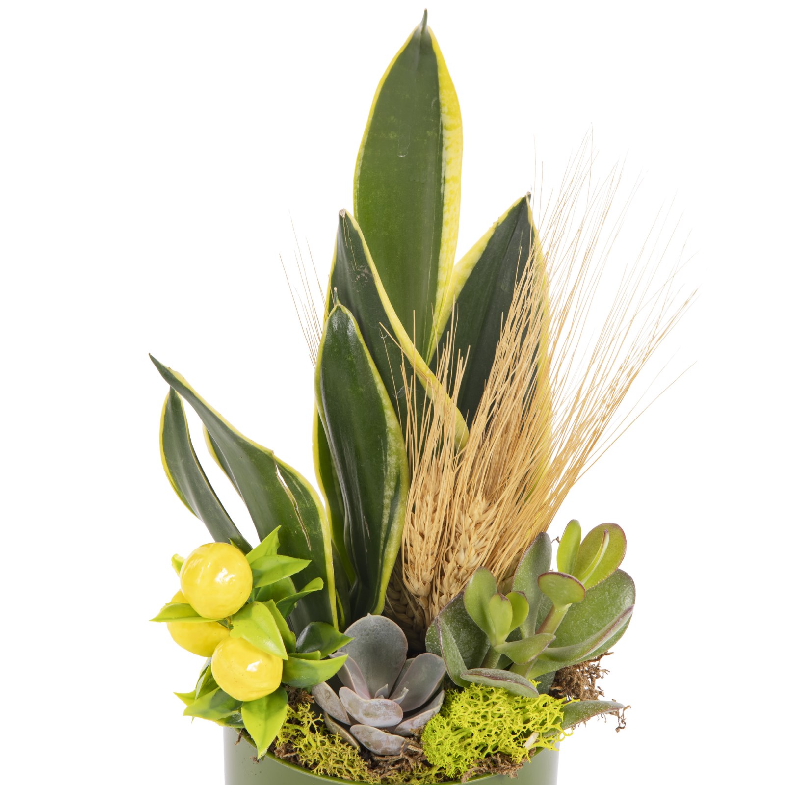 Green Oasis Paşa Kılıcı