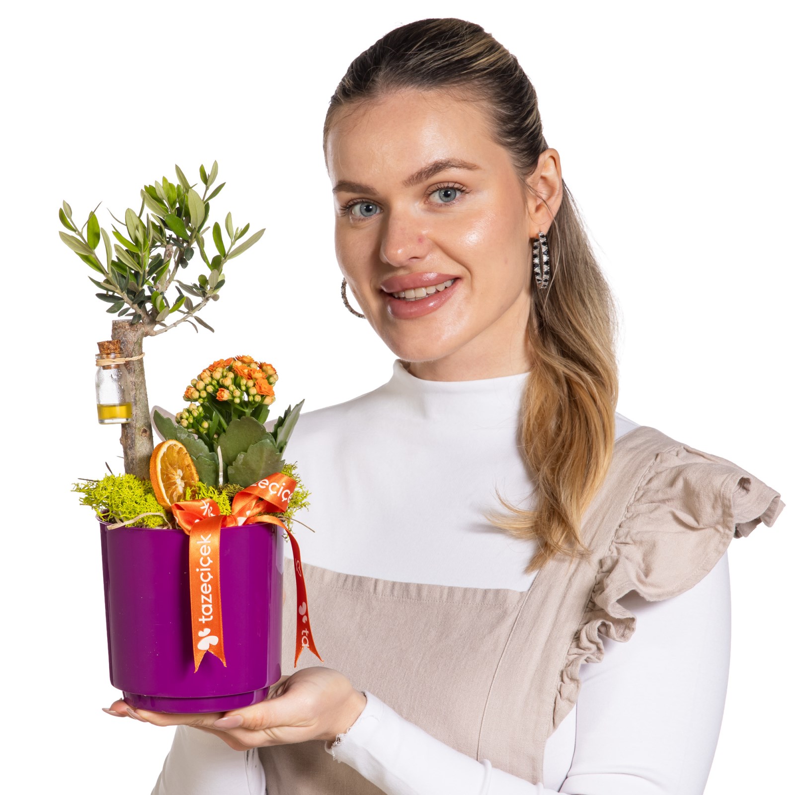 Aegean Breeze Zeytin Ağacı
