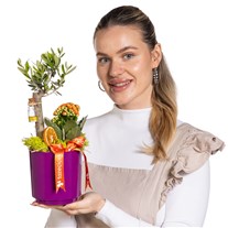 Aegean Breeze Zeytin Ağacı