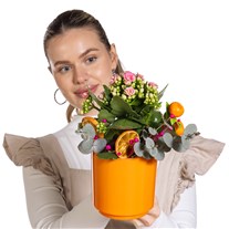 Citrus Joy Kalanchoe Aranjmanı
