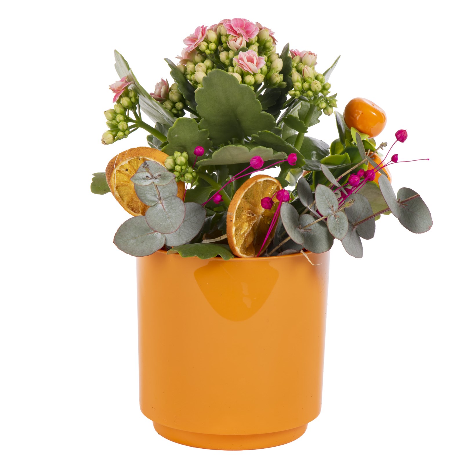 Citrus Joy Kalanchoe Aranjmanı