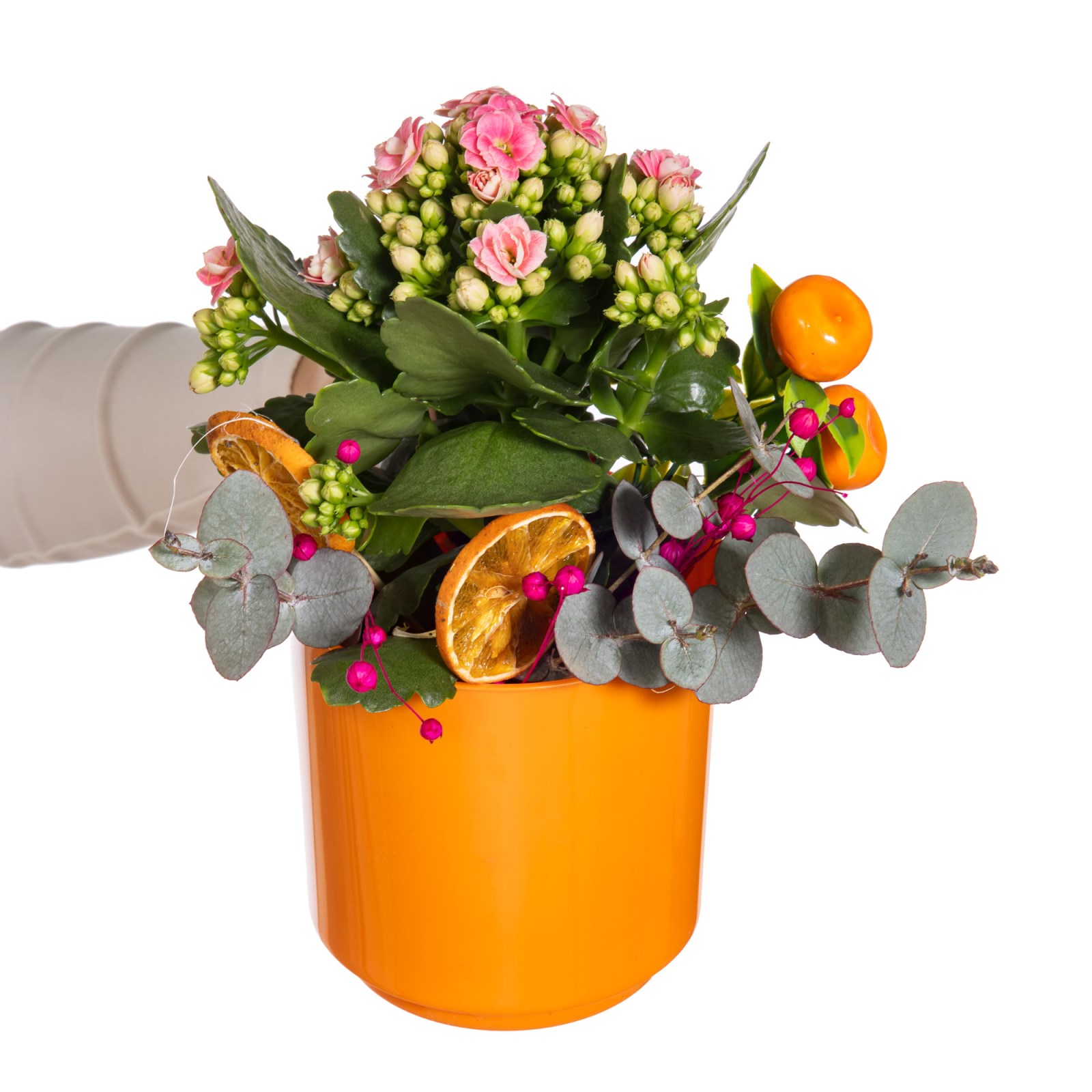 Citrus Joy Kalanchoe Aranjmanı