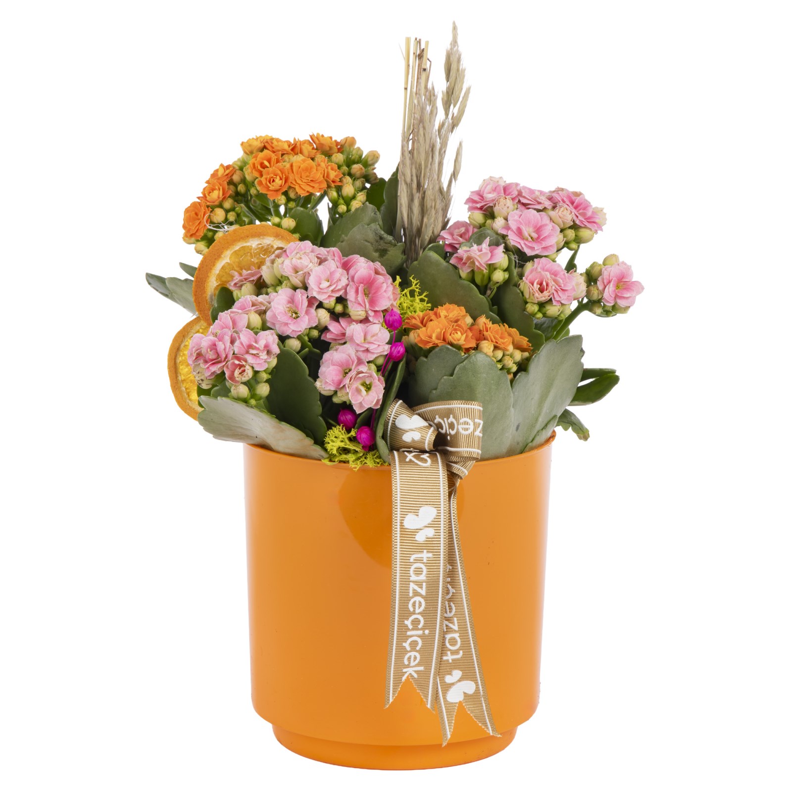 Vibrant Mix Kalanchoe Aranjmanı