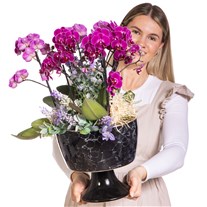 Royal Purple Orkide Aranjmanı
