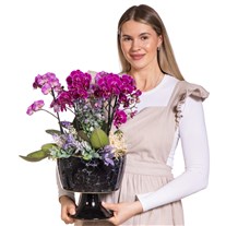Royal Purple Orkide Aranjmanı