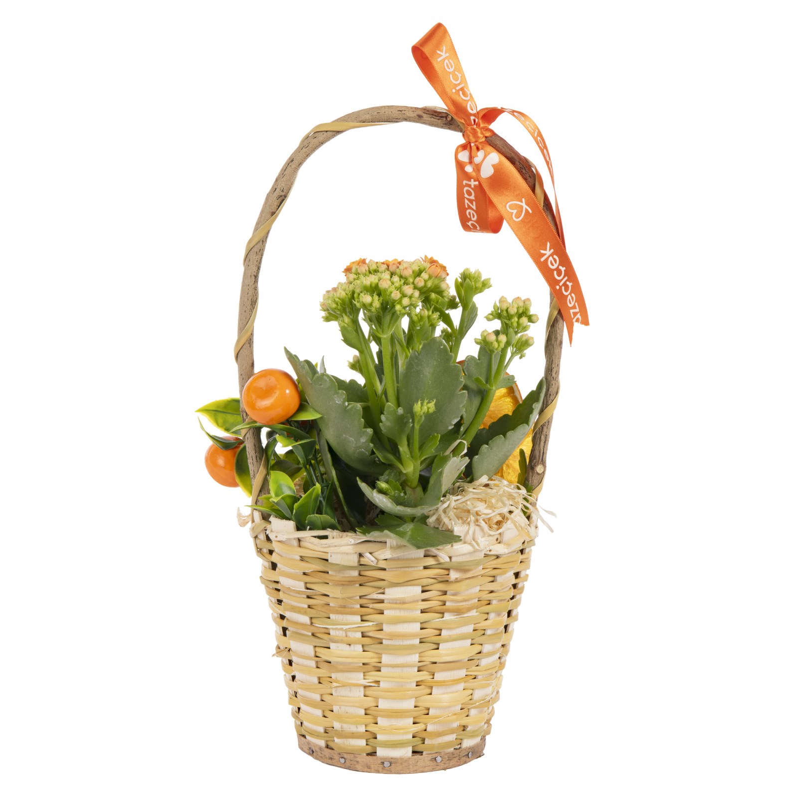 Citrus Orange Kalanchoe Sepeti