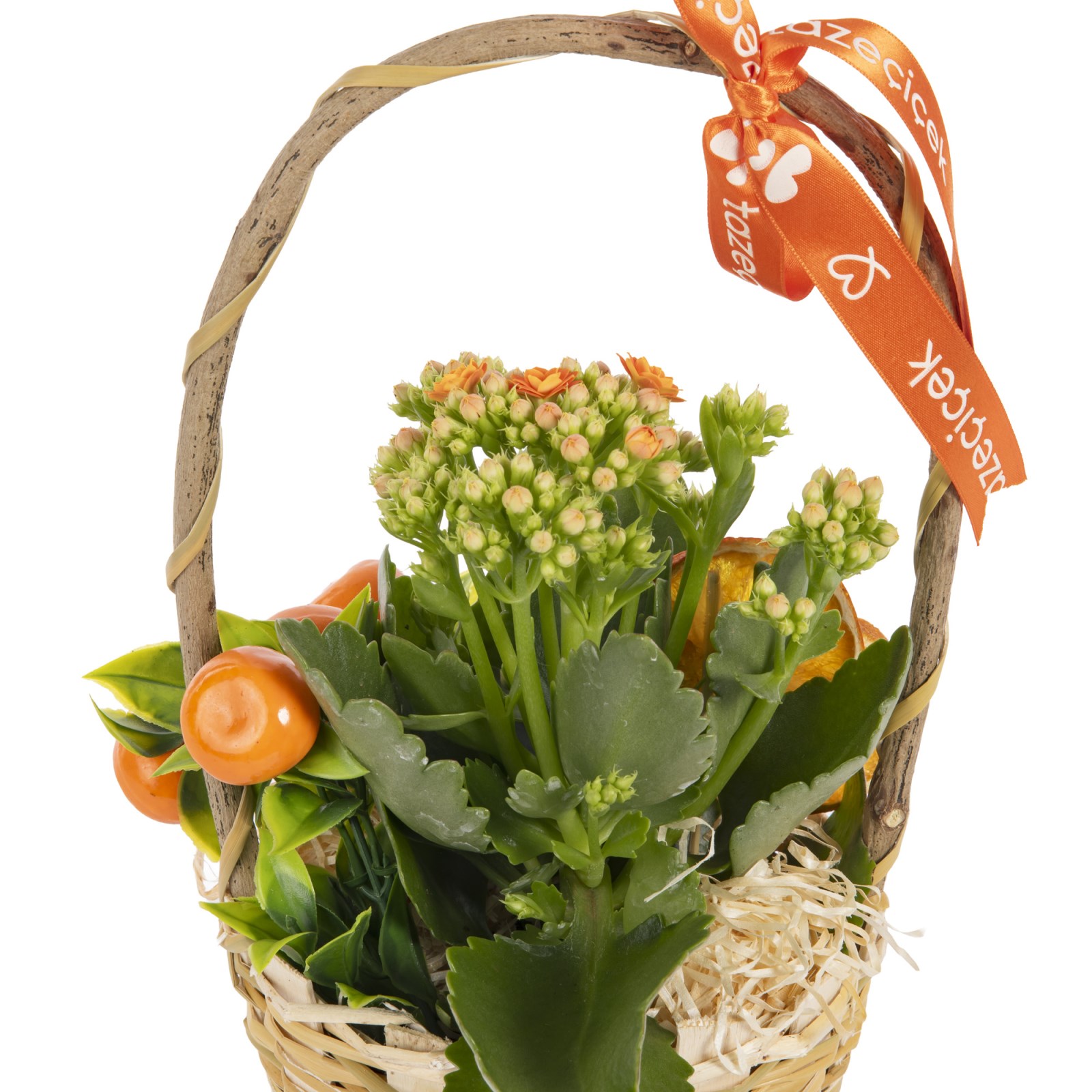 Citrus Orange Kalanchoe Sepeti