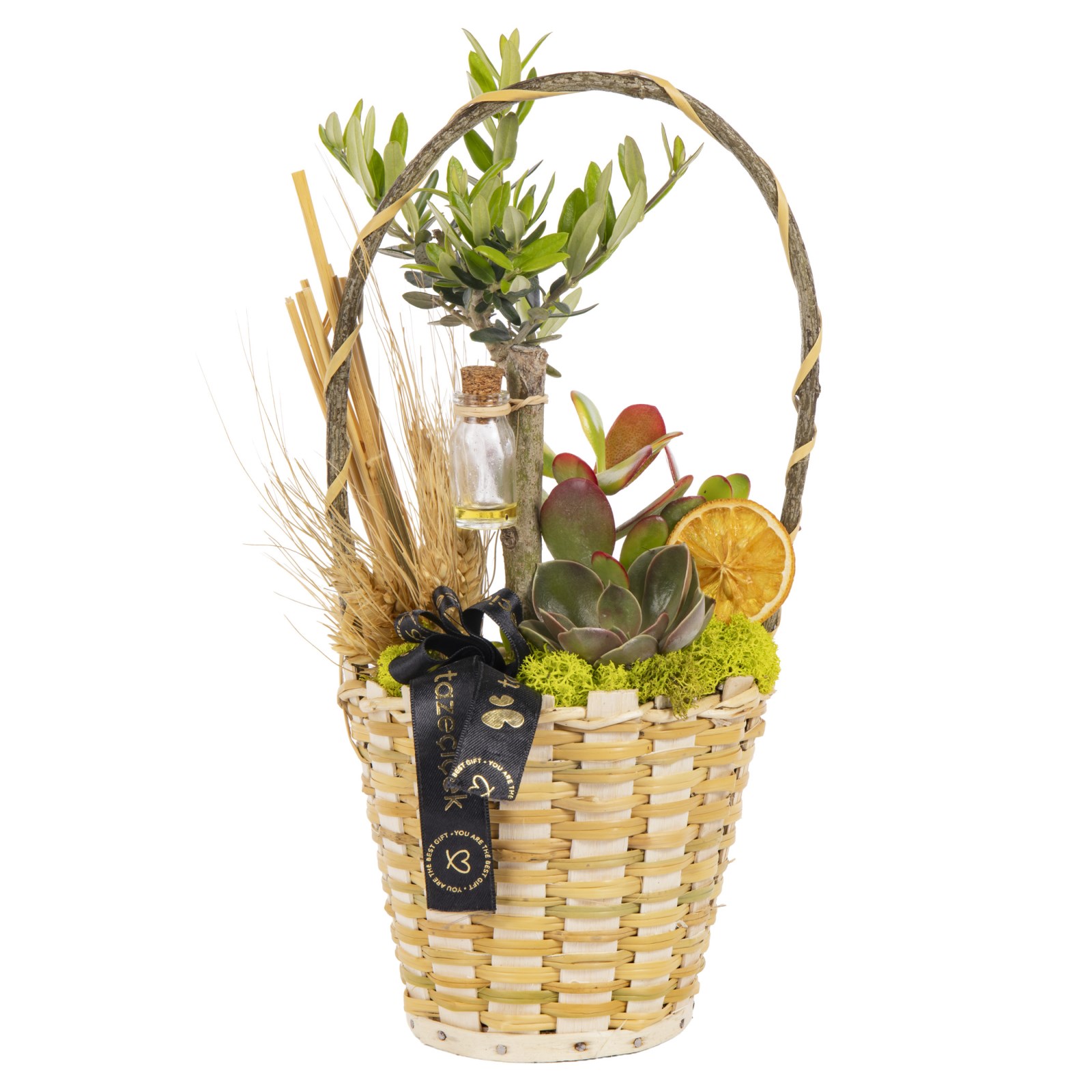 Aegean Rustic Zeytin Ağacı Sepeti