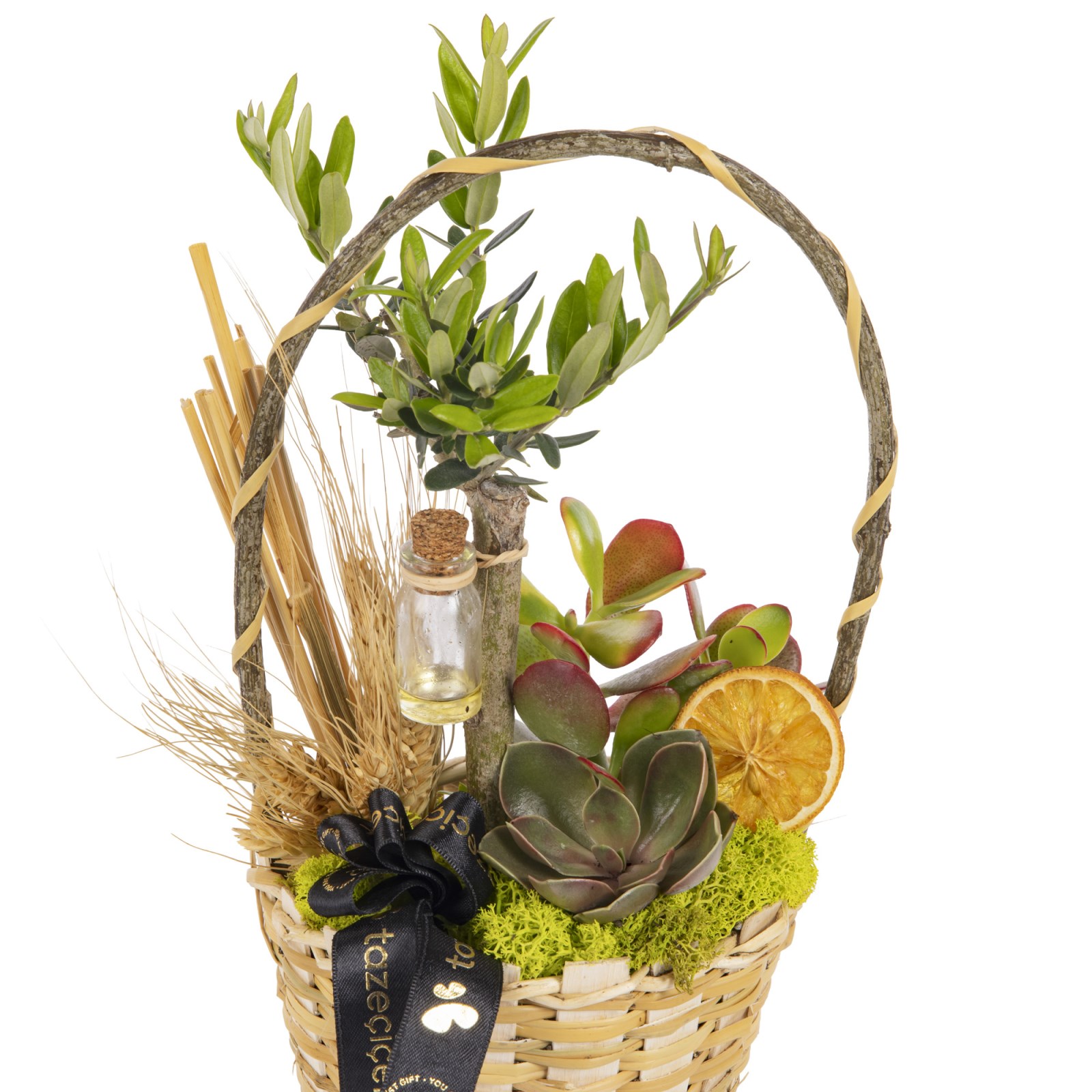 Aegean Rustic Zeytin Ağacı Sepeti