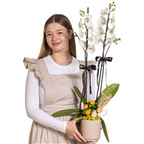 White Swan Çift Dallı Beyaz Orkide