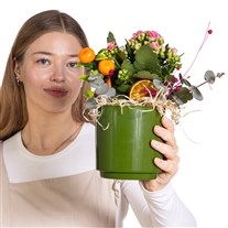 Doğanın Neşesi Pembe Kalanşo