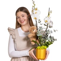 Golden Hug Çift Dallı Beyaz Orkide