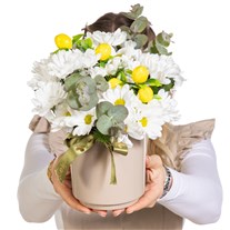 Limon Ferahlığı Beyaz Papatyalar