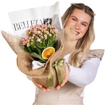 Bohem Esinti Pembe Kalanşo