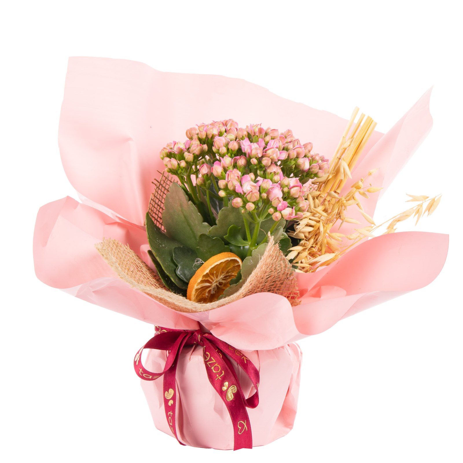 Pink Harmony Kalanşo Çiçeği