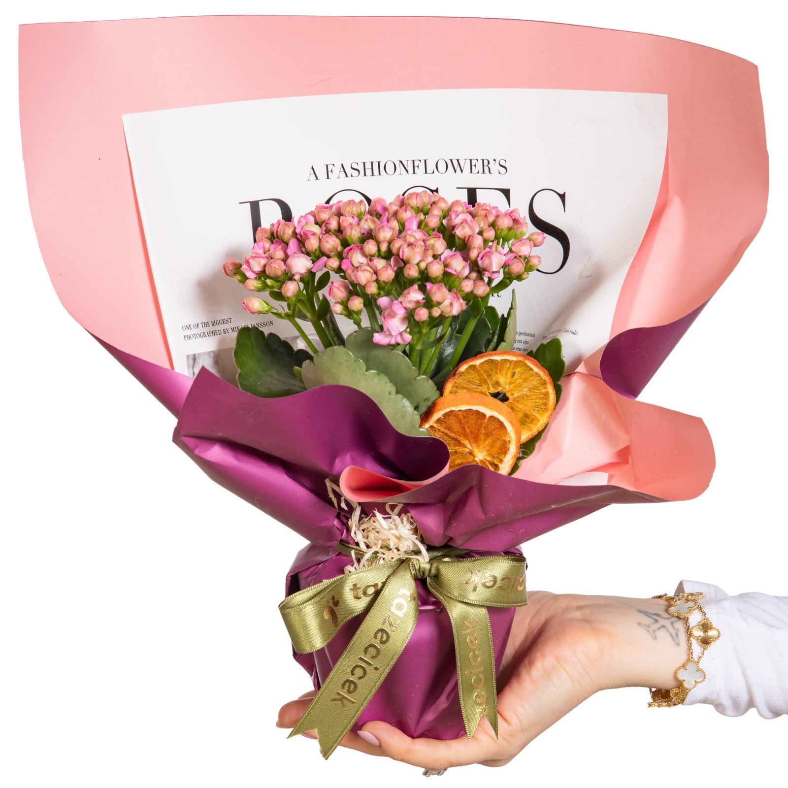 Magenta Dream Pembe Kalanşo