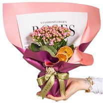 Magenta Dream Pembe Kalanşo