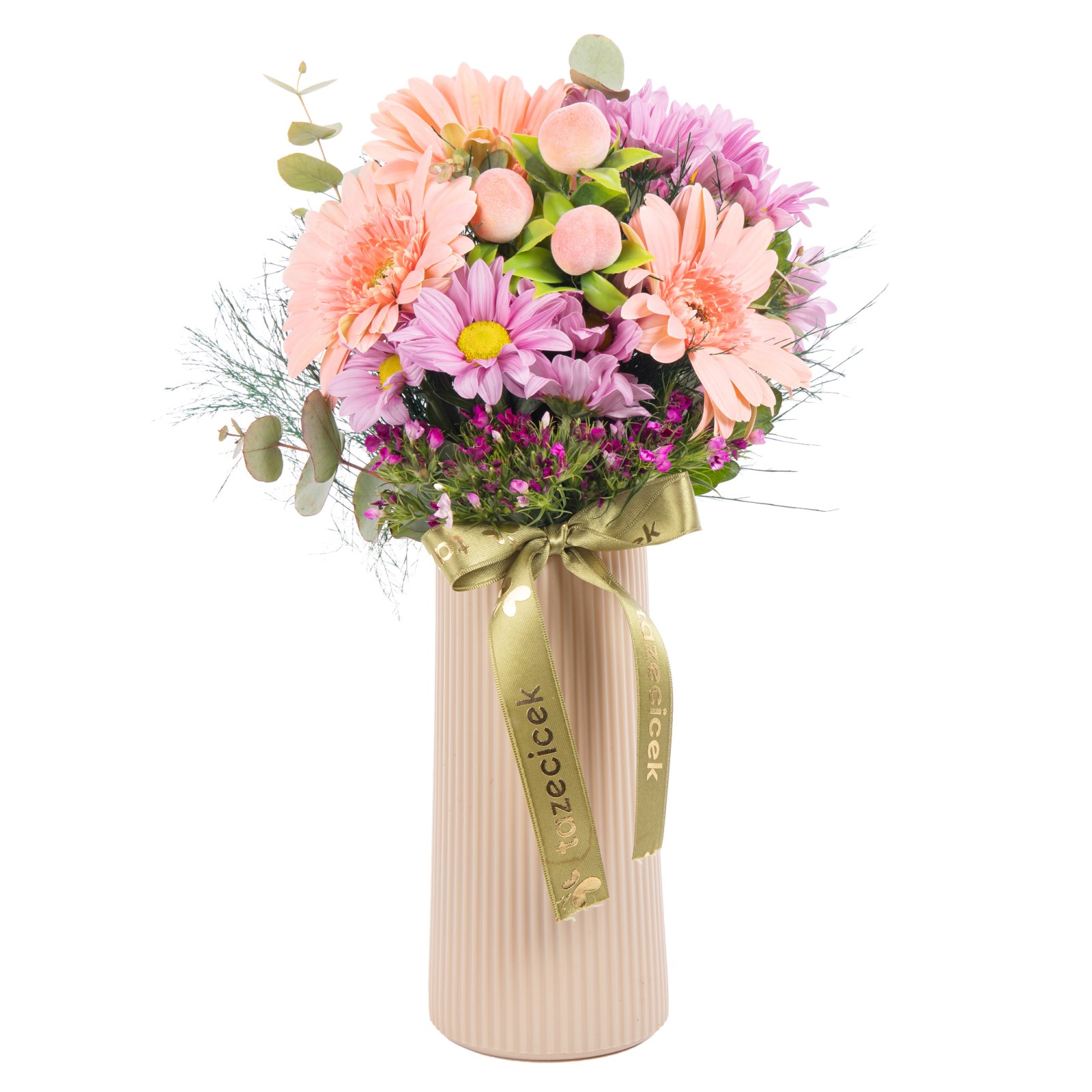 Şeftali Rüyası Gerbera Hüsnüyusuflar