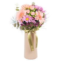 Şeftali Rüyası Gerbera Hüsnüyusuflar