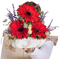 Mini Ruby Gerbera Aranjmanı
