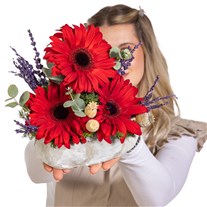 Mini Ruby Gerbera Aranjmanı